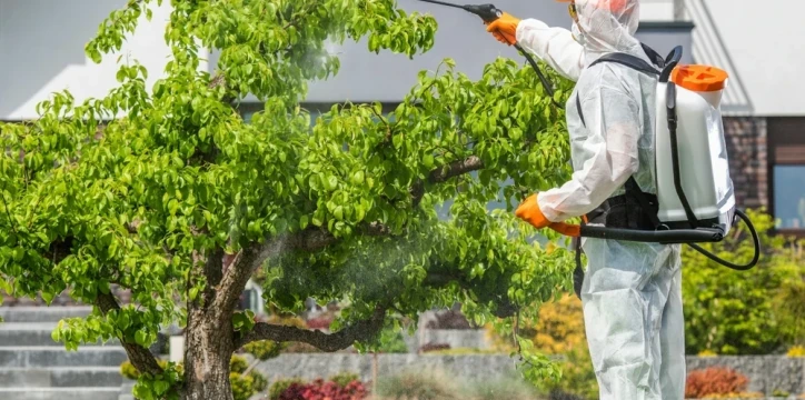 shutterstock 2226802513