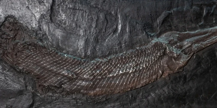 shutterstock 2476738235